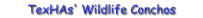 TexHAs' Wildlife Conchos