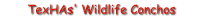 TexHAs' Wildlife Conchos